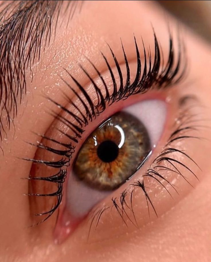 წამწამების ლამინირება