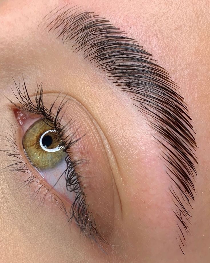 წარბების ლამინირება